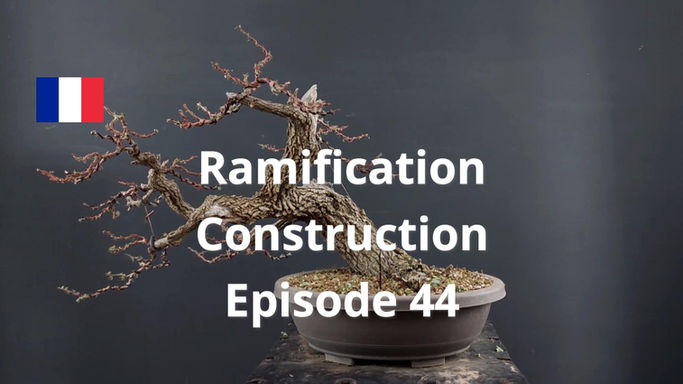 Book - Construction Ep.44